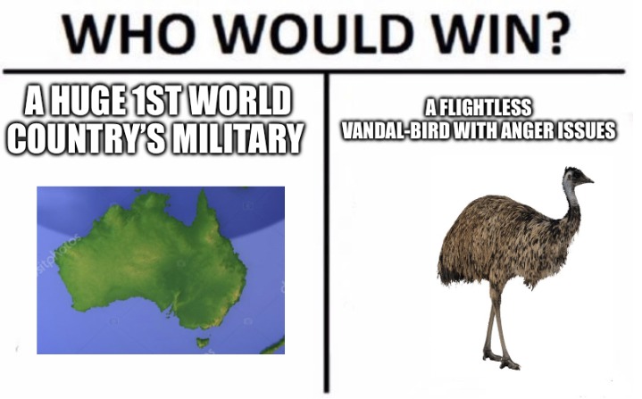 Emu war - meme