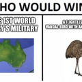Emu war