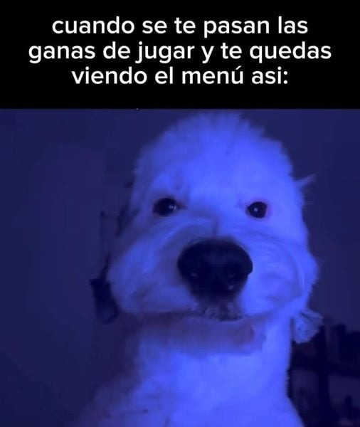 Xq - meme