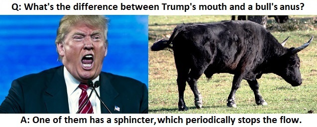Trump and the Bull - meme