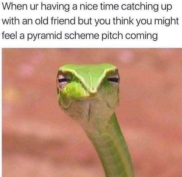 Pyramid scheme - meme