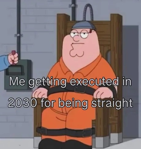 2030 executions - meme