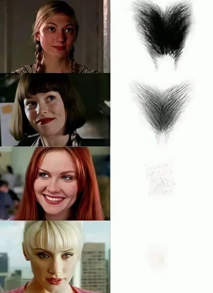 mostly accurate I’m sure - meme