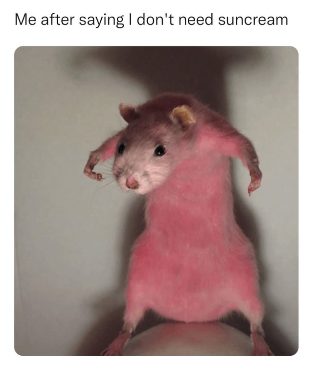 Sunscreen meme