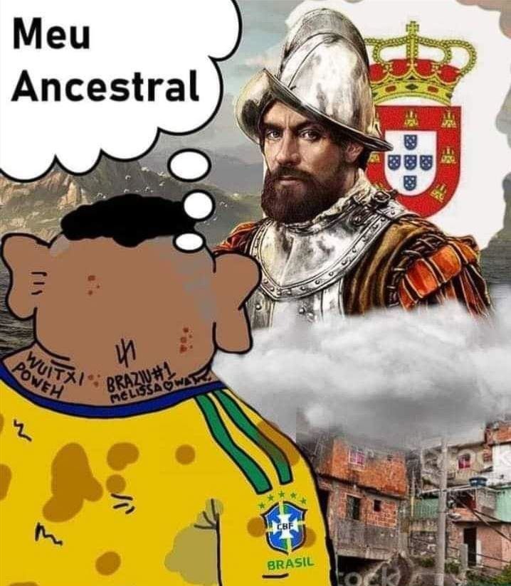 Brasilsimios - meme