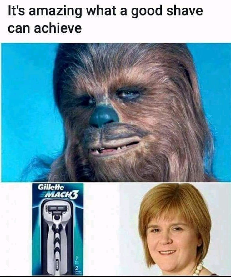 Chewie - meme