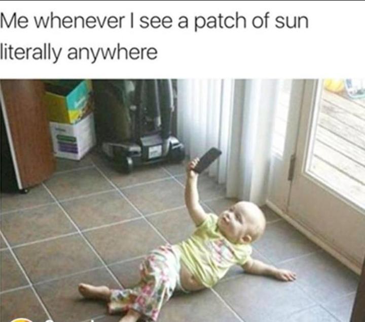 Where the sun at? - meme
