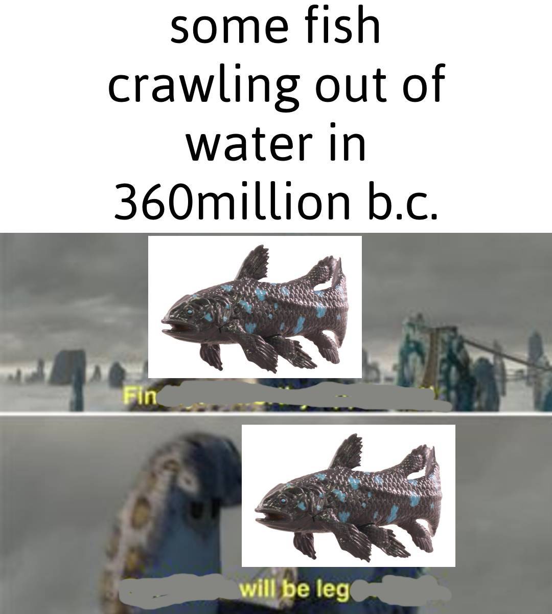 fishleg - meme
