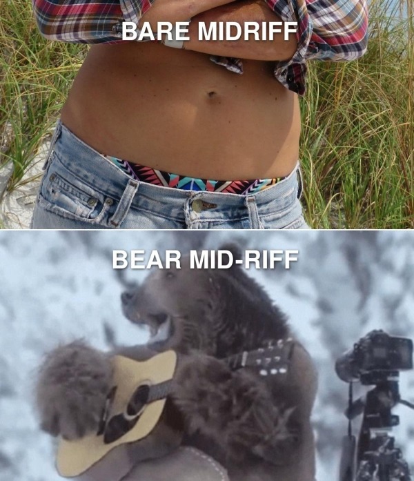 Bear with me - meme