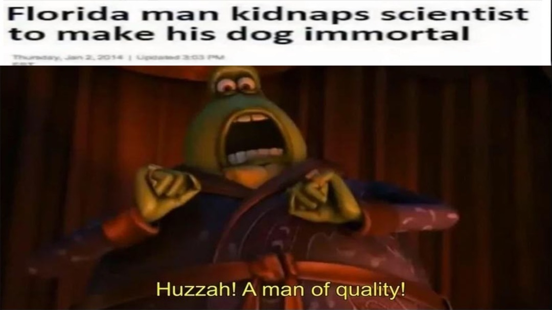 Huzzah! A man of quality! - meme