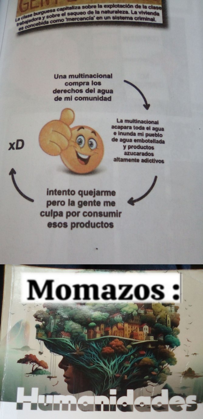 Memes de mi libro #2