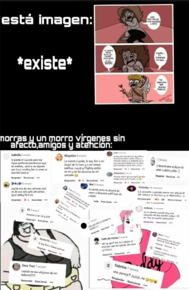 la neta no se que ando subiendo - meme