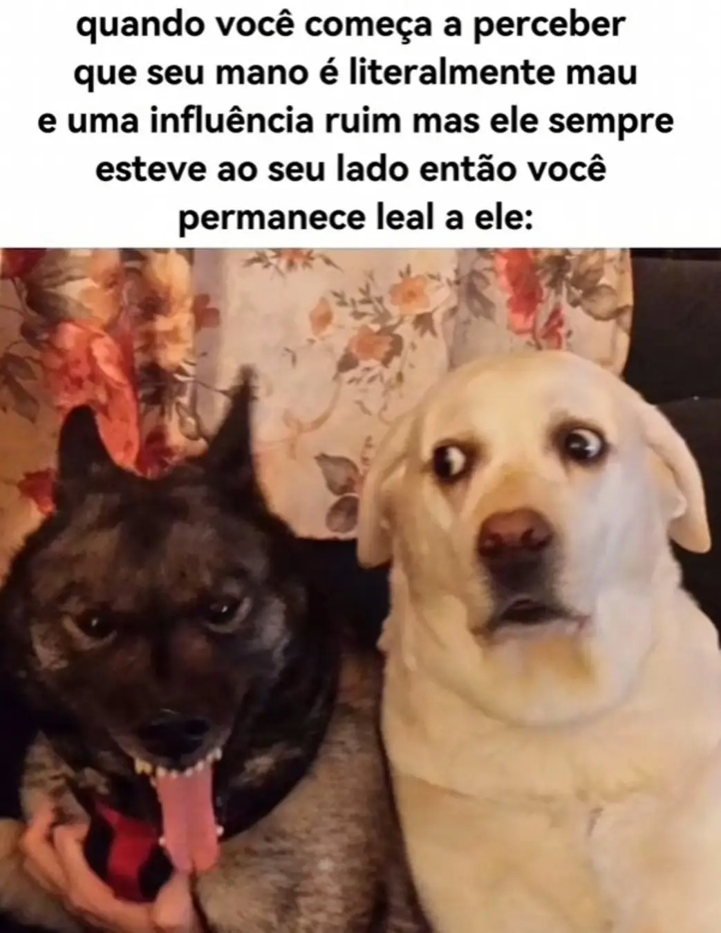 Coveiro Tério - meme