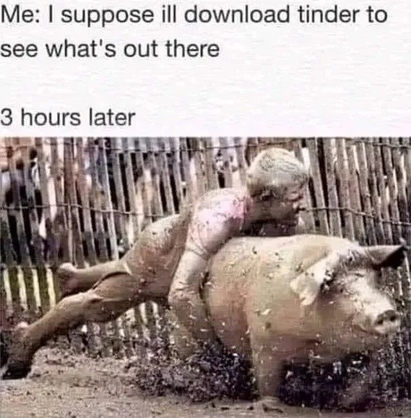 Me: I’ll just check Tinder real quick… 3 hours later - meme