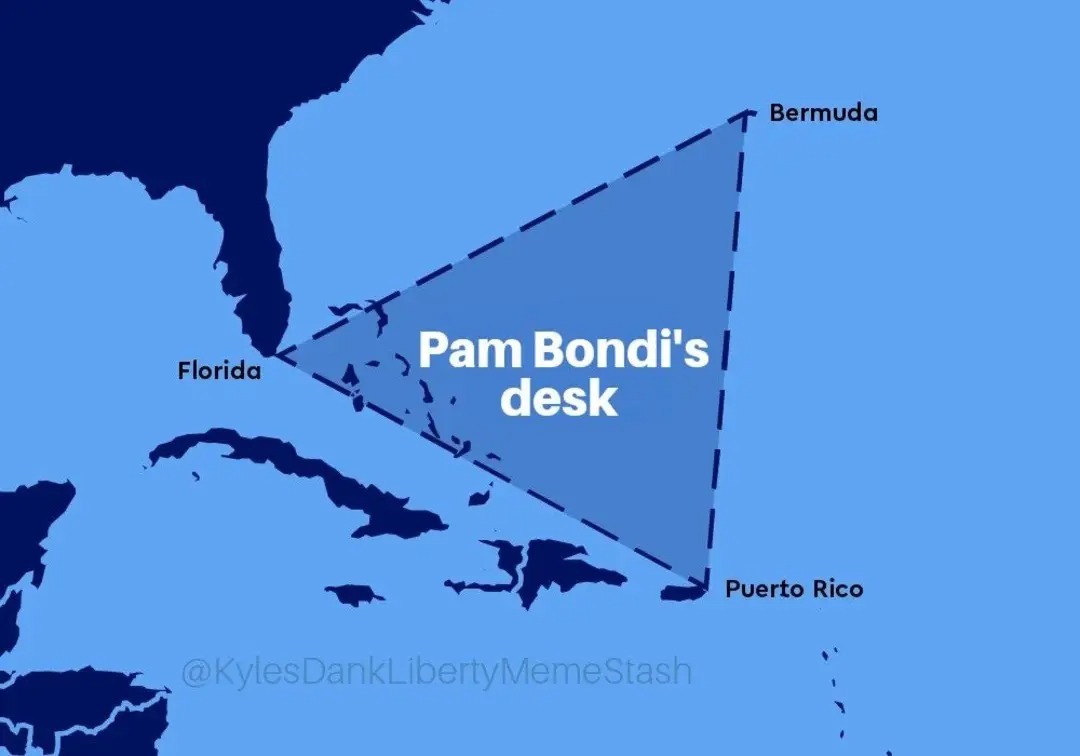 The Epstein Files - meme
