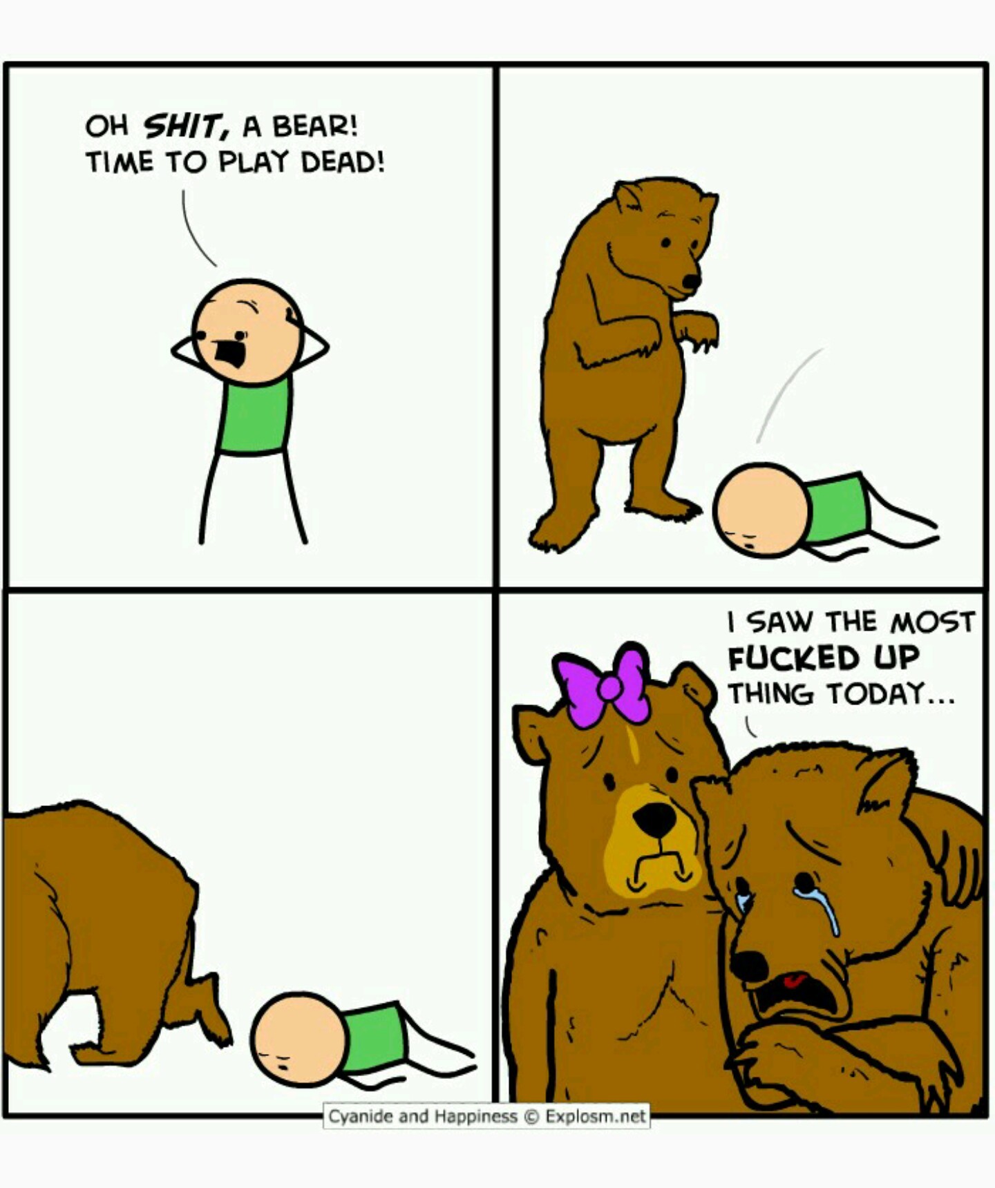 Bears? - meme