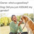 Did you just assume my gender