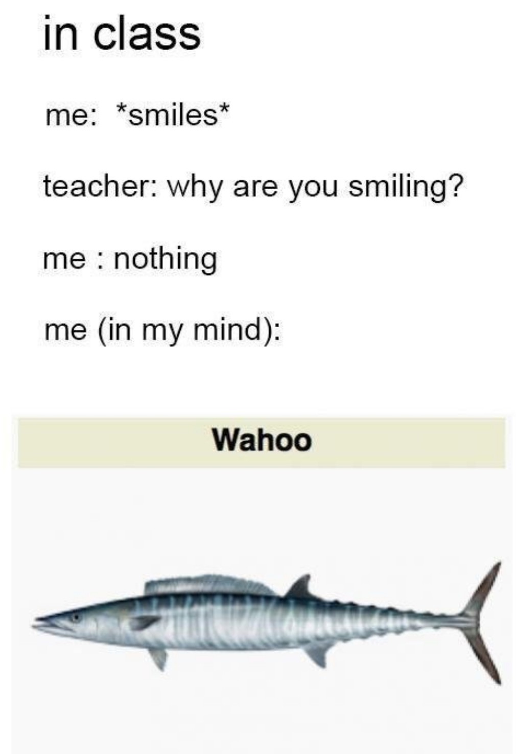 Wahoo - meme