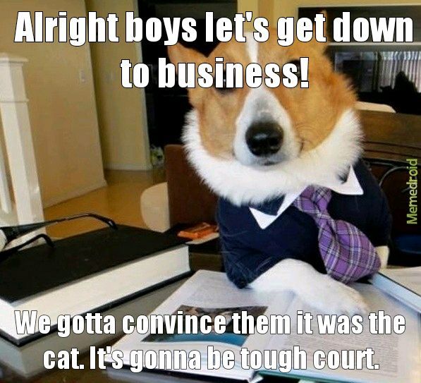 Lawyer dog - meme