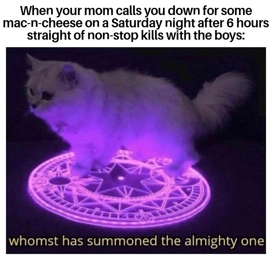 You summoned me? - meme