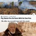 Pig starts fire on farm with its own poo