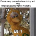 Big bird started to lose hope and faith in humanity