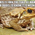 John the toad