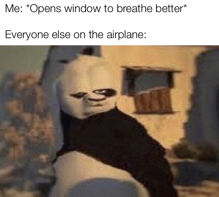 air plane - meme