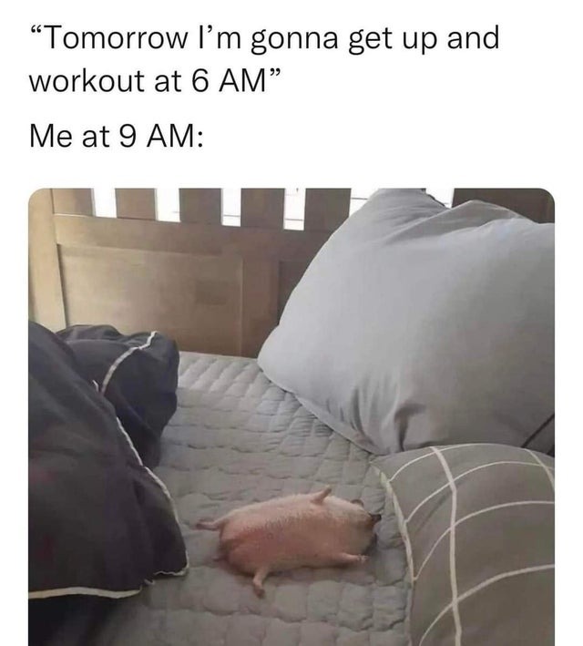 workout at 6am - meme