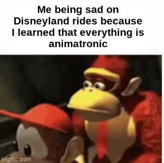 Me being sad on Disneyland rides because I learned that everything is animatronic - meme