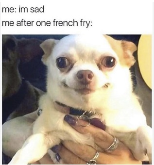 French fries make things better - meme