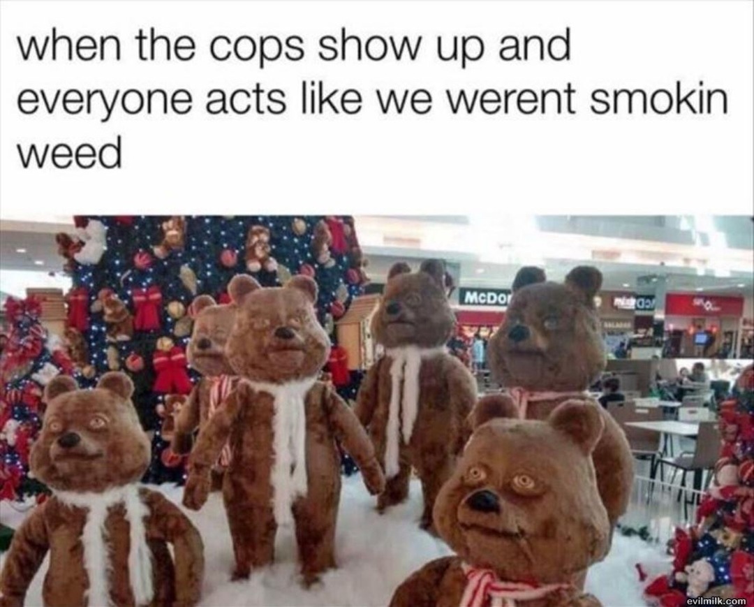 all good here officer - meme