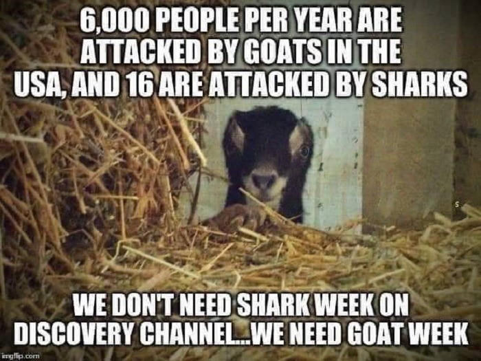 Ban assault goats now - meme