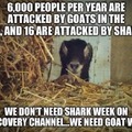 Ban assault goats now