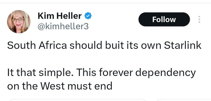 If only we had like, and bear with me here, a South African version of Elon Musk - meme