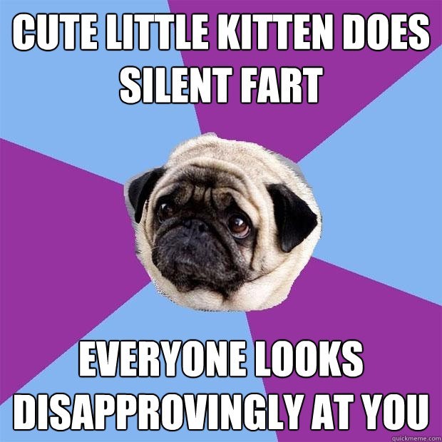 Kitten farts - meme