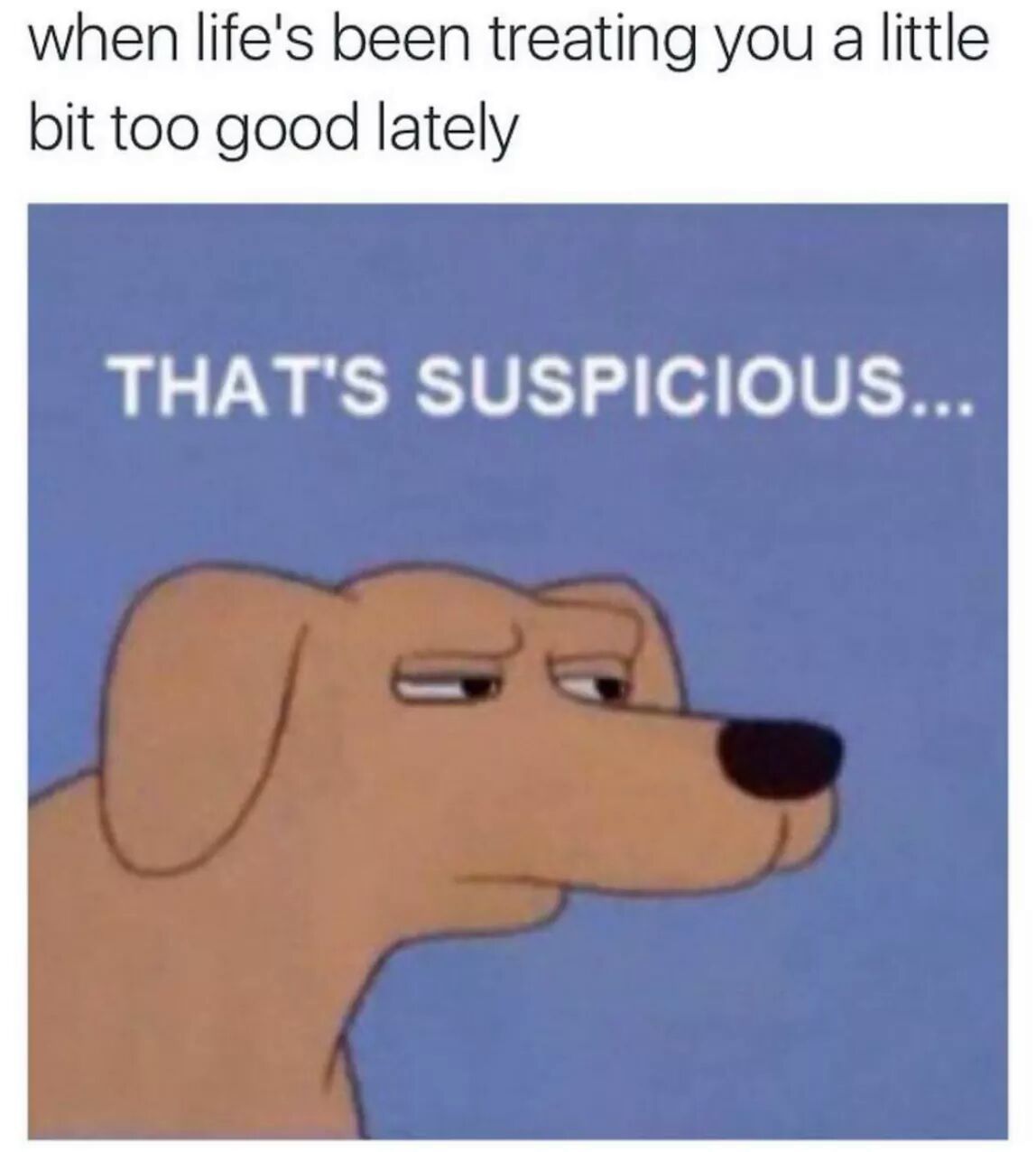 Suspicious indeed - meme