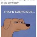 Suspicious indeed