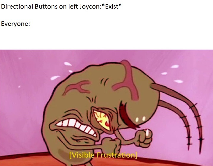 I myself DO have a Switch but I don't see the problem with the directional buttons - meme