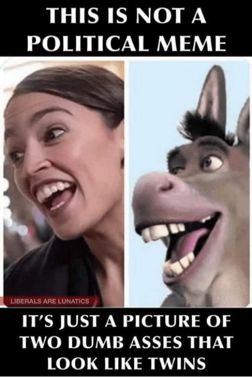 Donkey is smarter - meme