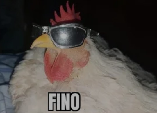 Fino - Meme by RobertG :) Memedroid