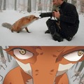 Fox pic