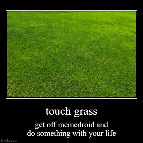 Funny Meme Gift Touch Grass Poster for Sale by kmcollectible