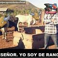 Del rancho