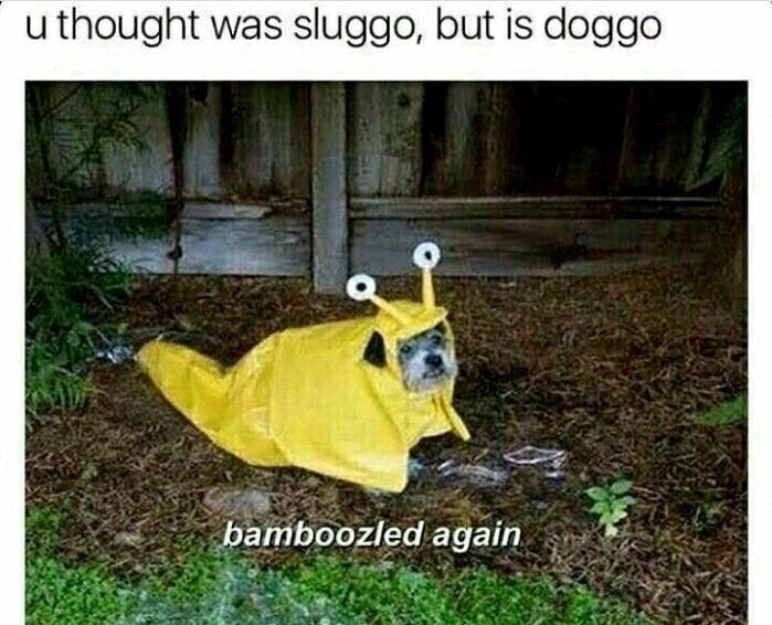 Sluggo - meme