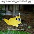 Sluggo