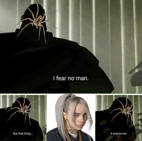 spiders are scared of humans too (OC) - meme