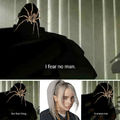 spiders are scared of humans too (OC)