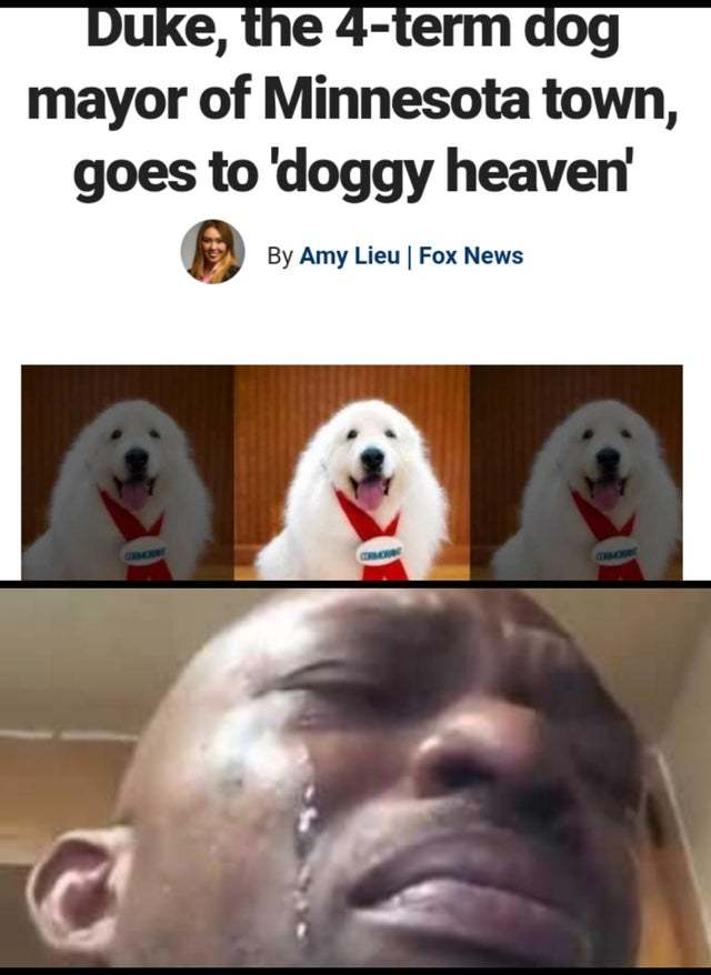 Duke, the 4-term dog mayor of Minnesota town goes to doggy heaven - meme