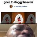 Duke, the 4-term dog mayor of Minnesota town goes to doggy heaven